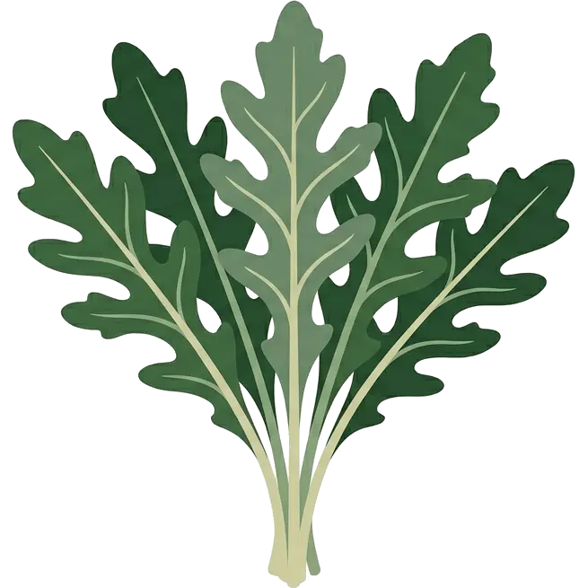 Arugula