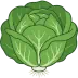 Bibb Lettuce