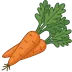 Carrots