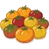 Tomatoes