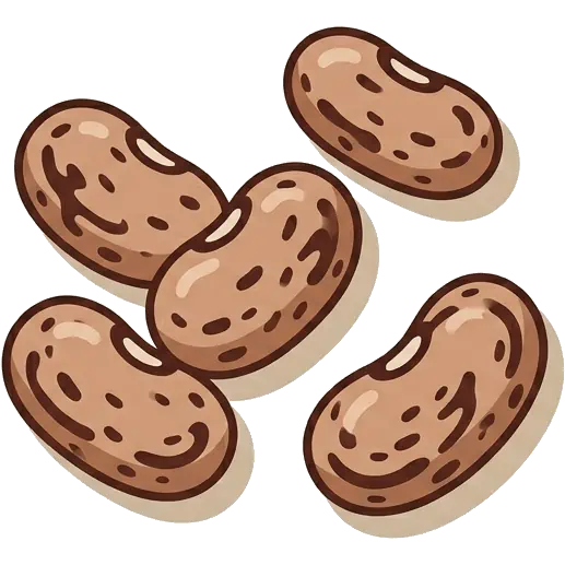 Pinto Beans